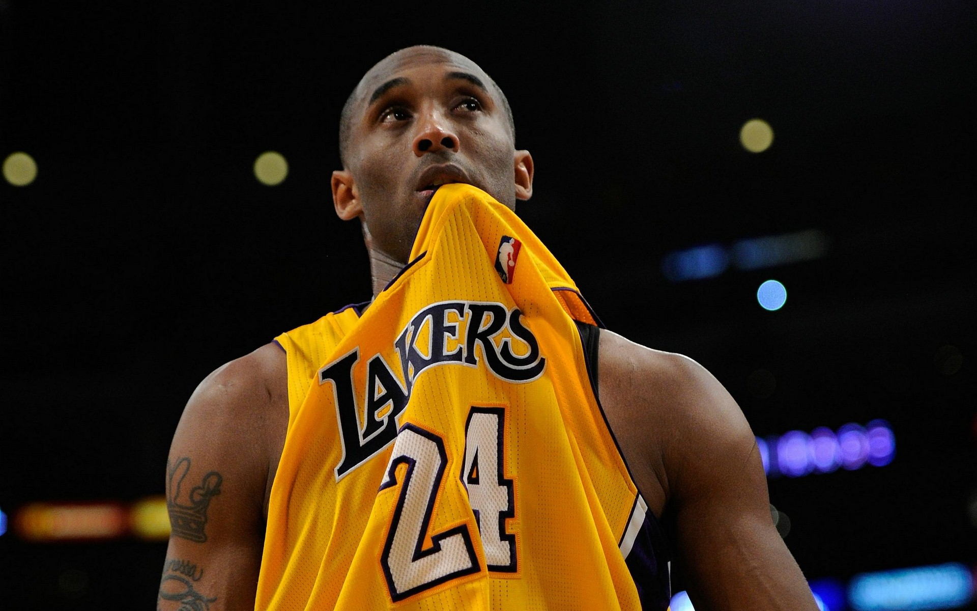 仅展示了足 仅展示了足